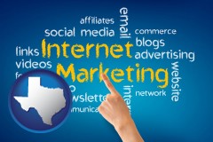 texas map icon and internet marketing phrases
